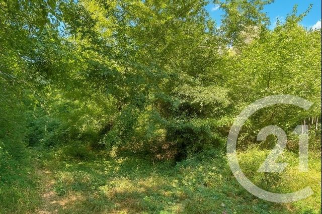 Appartement Duplex à vendre - 4 pièces - 66.46 m2 - GORBIO - 06 - PROVENCE-ALPES-COTE-D-AZUR - Century 21 Agence Molière