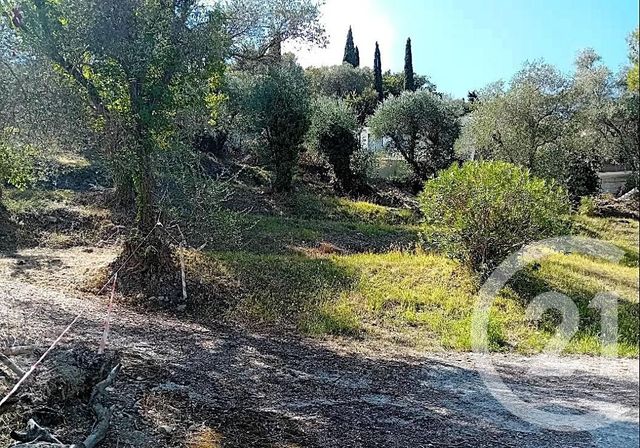Terrain à vendre ROQUEBRUNE CAP MARTIN