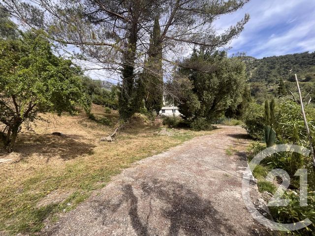 terrain à vendre - 1522.0 m2 - ROQUEBRUNE CAP MARTIN - 06 - PROVENCE-ALPES-COTE-D-AZUR - Century 21 Agence Molière